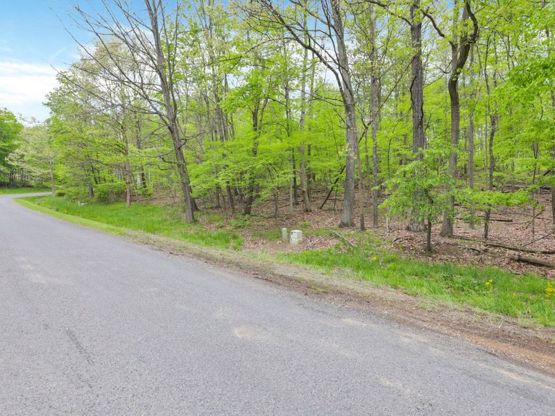 0 Apple Valley Drive , Unit Lot 225, Howard, OH 43028 Photo 5