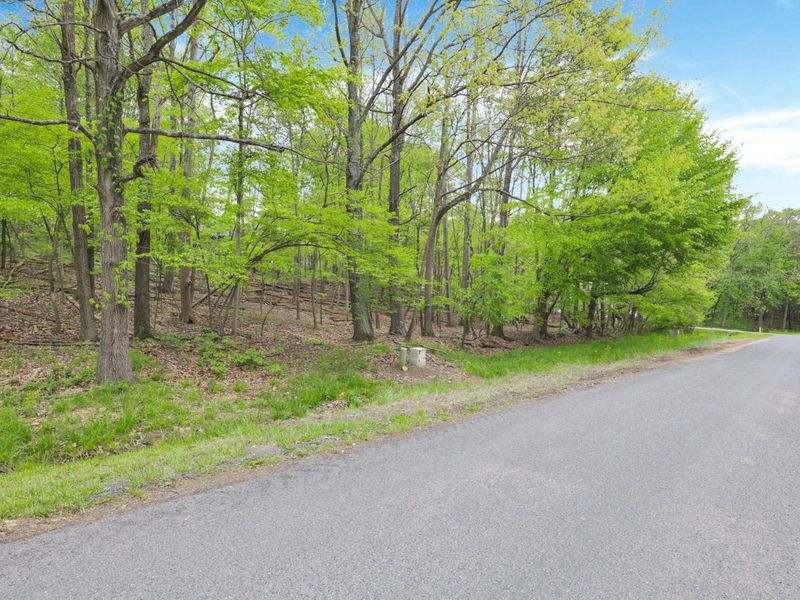 0 Apple Valley Drive , Unit Lot 225, Howard, OH 43028 Photo 6