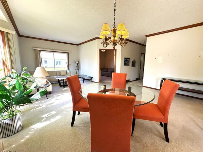 135 Village Drive, Seven Hills, OH 44131 Photo 6