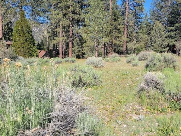 2612 Brentwood, Pine Mountain Club, CA 93222