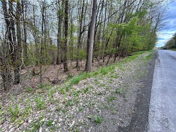 Mary Brown Hill Road, Laurens, NY 13796