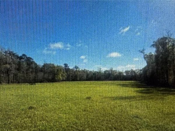 28445 HARPER HILL Drive, Independence, LA 70443