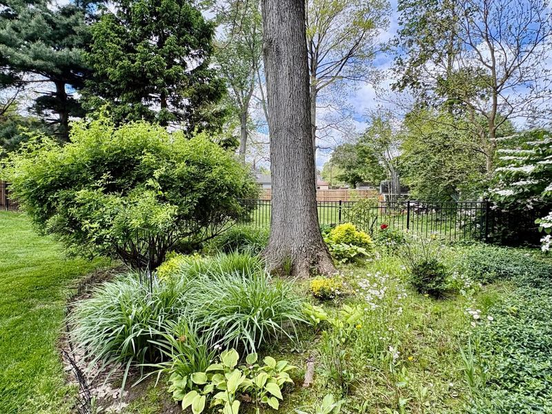 319 Bachtel Street SE, North Canton, OH 44720 Photo 50
