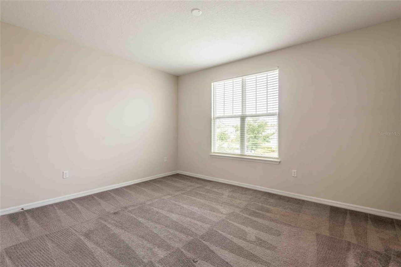 5072 Avalon Park Boulevard, Wesley Chapel, FL 33545 Photo