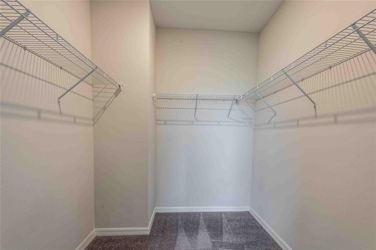 5072 Avalon Park Boulevard, Wesley Chapel, FL 33545 Photo