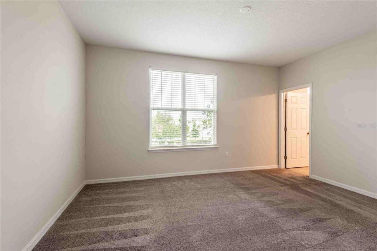 5072 Avalon Park Boulevard, Wesley Chapel, FL 33545 Photo