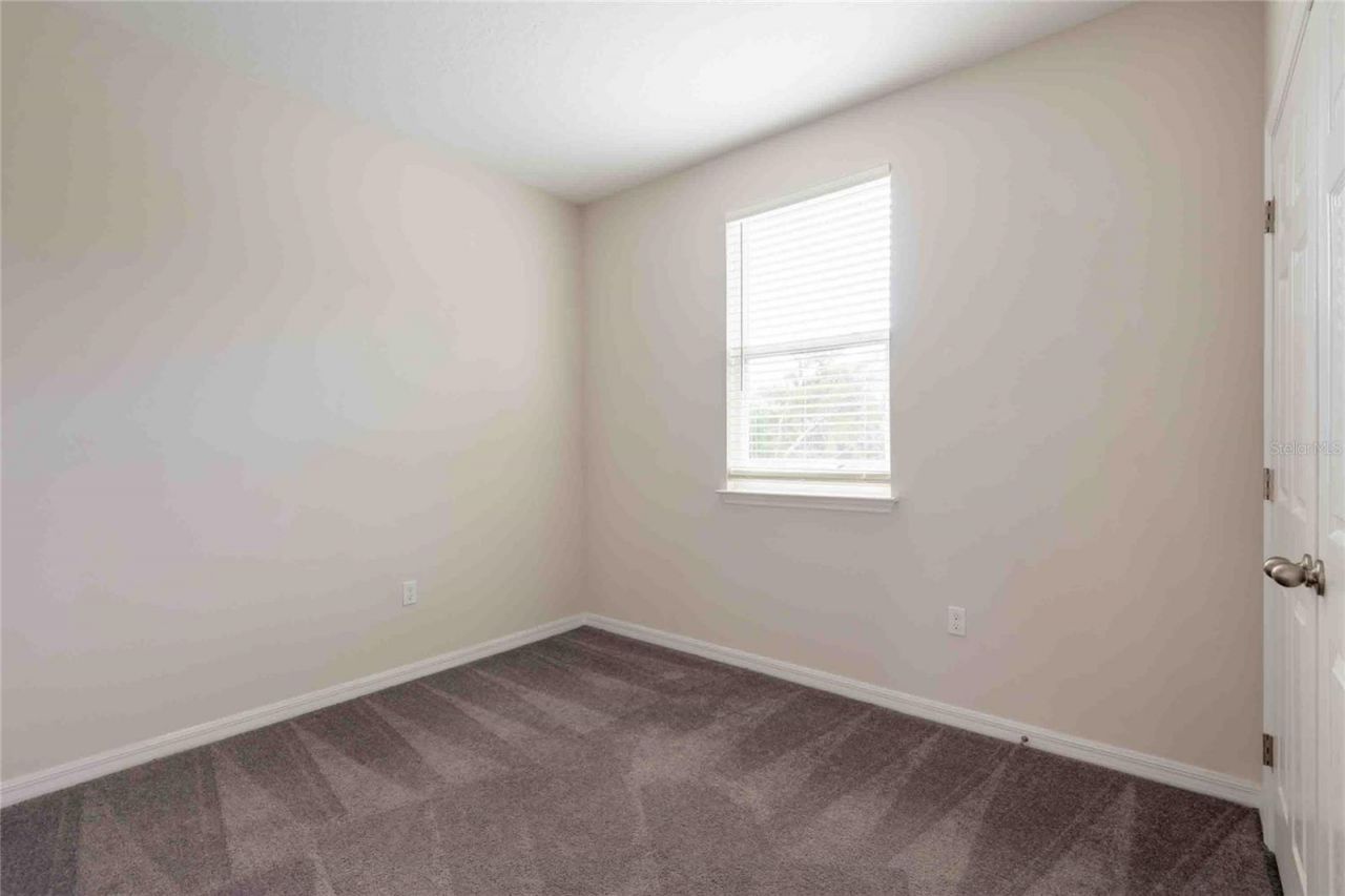 5072 Avalon Park Boulevard, Wesley Chapel, FL 33545 Photo