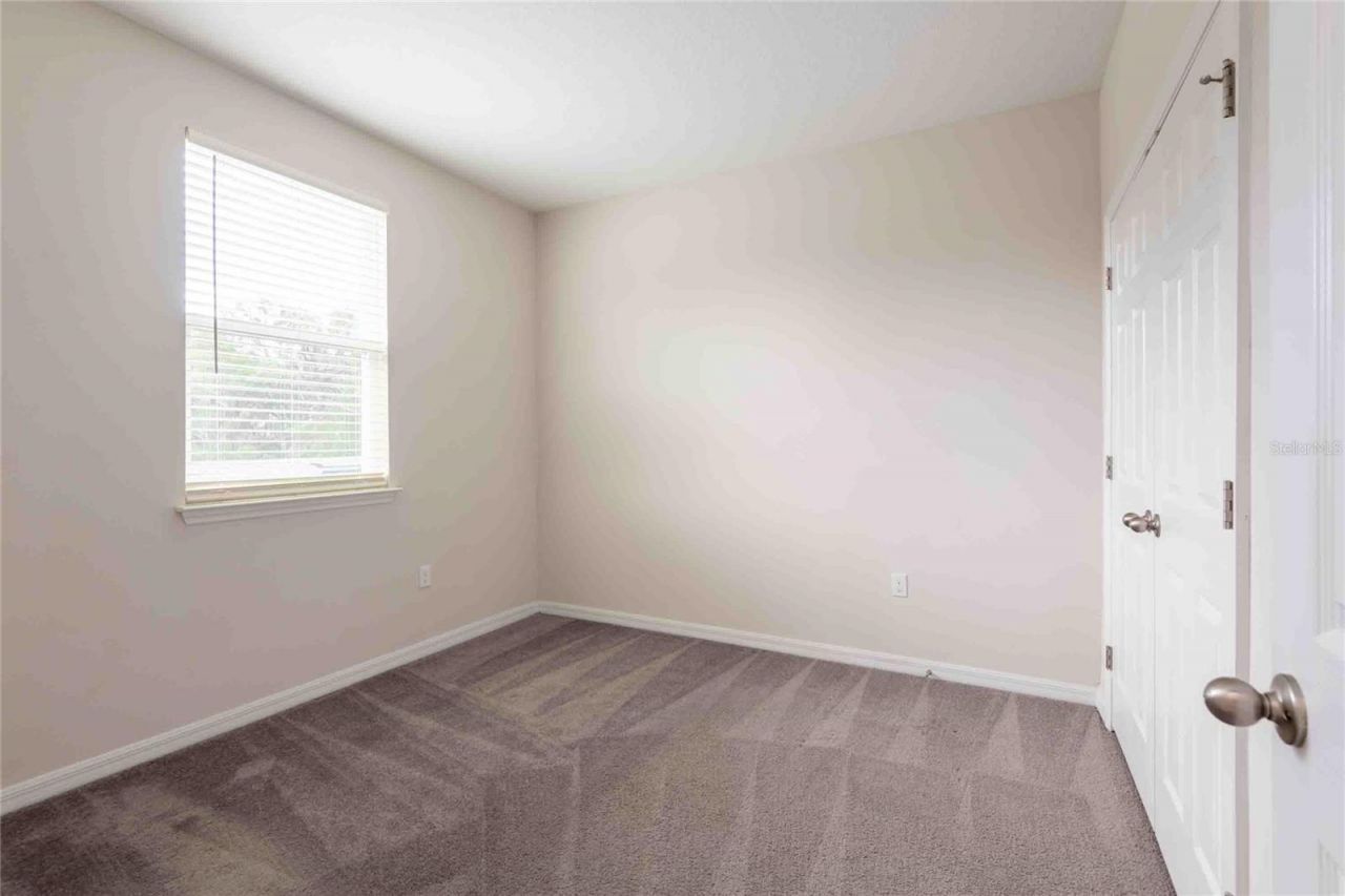 5072 Avalon Park Boulevard, Wesley Chapel, FL 33545 Photo