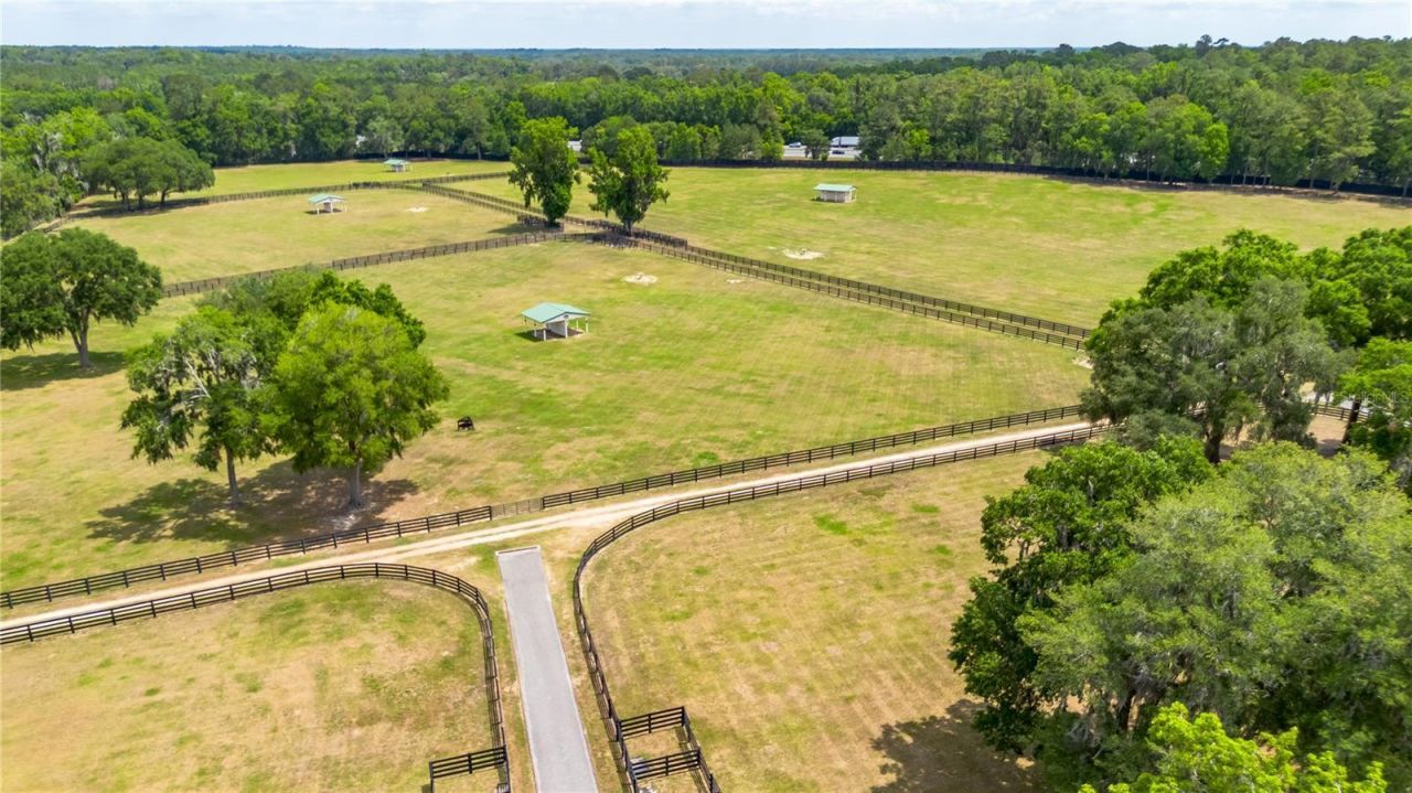 6157 W Highway 329, Reddick, FL 32686 Photo
