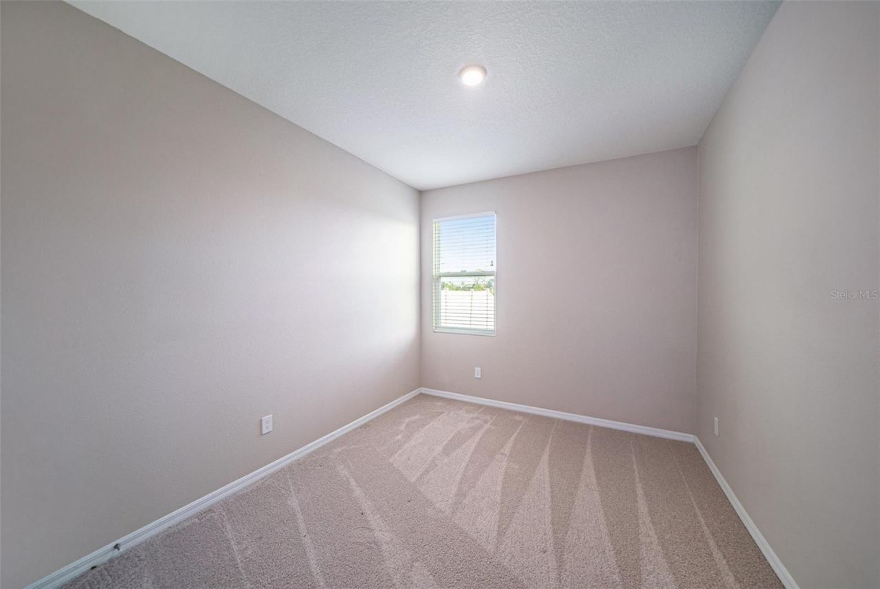 5430 Thistle Field Court, Wesley Chapel, FL 33545 Photo