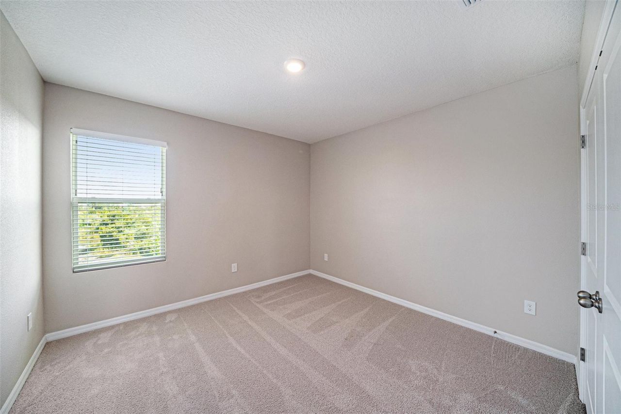 5430 Thistle Field Court, Wesley Chapel, FL 33545 Photo