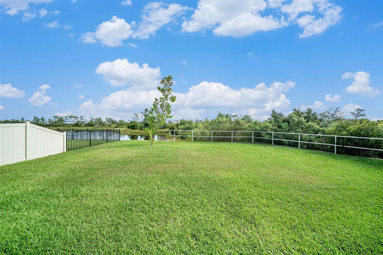 5430 Thistle Field Court, Wesley Chapel, FL 33545 Photo