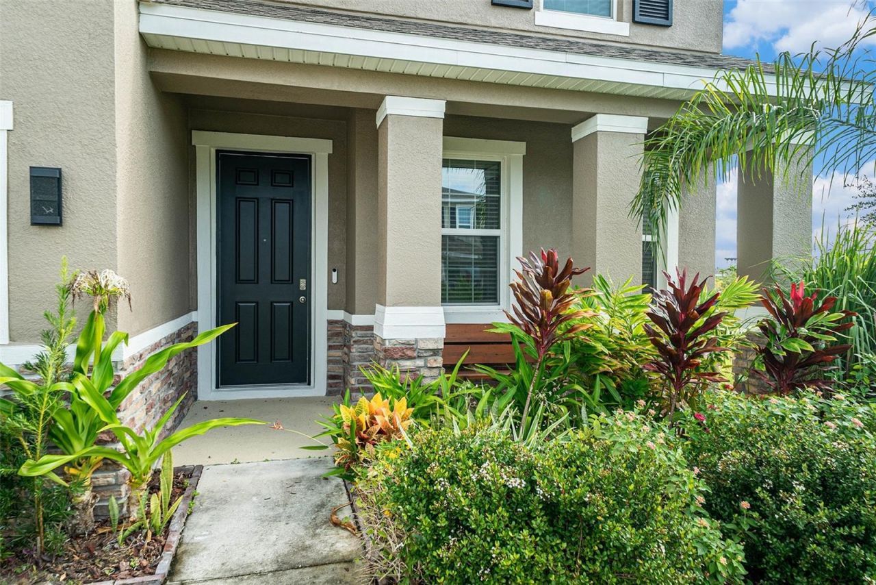 5430 Thistle Field Court, Wesley Chapel, FL 33545 Photo
