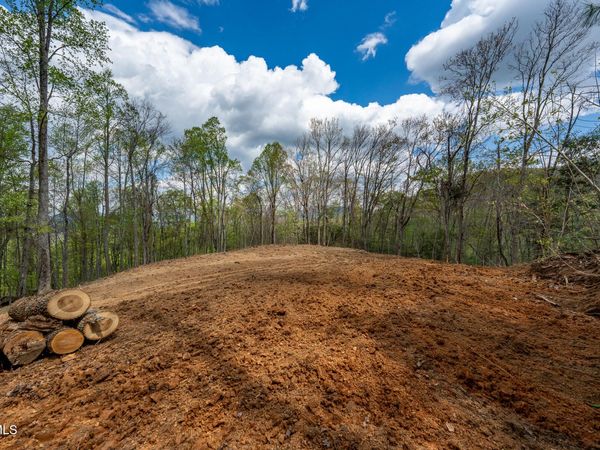 1 Ridge Top Lane, Unit 1, Unicoi, TN 37692
