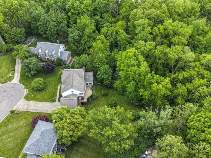 9177 Pinewood Drive, Loveland, OH 45140 Photo 64