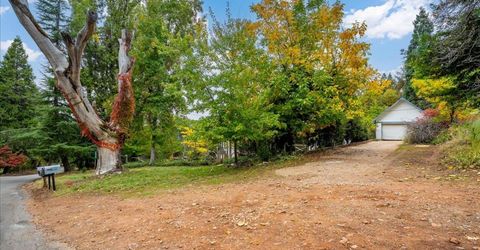 9501 Grizzly Flat Rd, Grizzly Flats, CA 95636 Photo