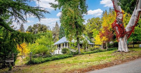 9501 Grizzly Flat Rd, Grizzly Flats, CA 95636 Photo