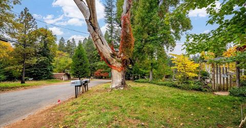 9501 Grizzly Flat Rd, Grizzly Flats, CA 95636 Photo