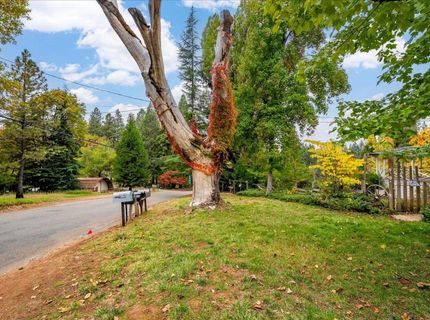 9501 Grizzly Flat Rd, Grizzly Flats, CA 95636 Photo