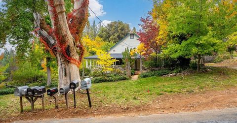 9501 Grizzly Flat Rd, Grizzly Flats, CA 95636 Photo