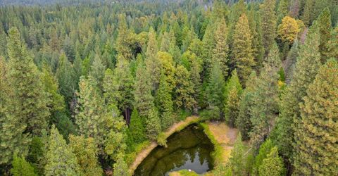 9501 Grizzly Flat Rd, Grizzly Flats, CA 95636 Photo