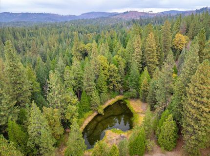 9501 Grizzly Flat Rd, Grizzly Flats, CA 95636 Photo