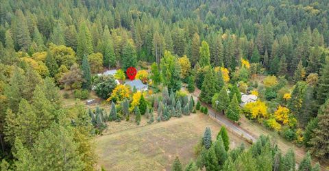 9501 Grizzly Flat Rd, Grizzly Flats, CA 95636 Photo