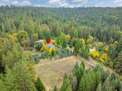 9501 Grizzly Flat Rd, Grizzly Flats, CA 95636 Photo
