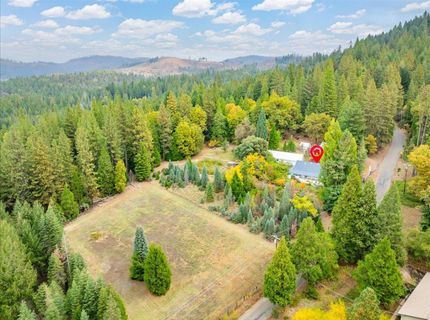 9501 Grizzly Flat Rd, Grizzly Flats, CA 95636 Photo