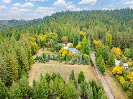 9501 Grizzly Flat Rd, Grizzly Flats, CA 95636 Photo
