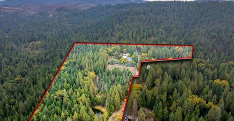 9501 Grizzly Flat Rd, Grizzly Flats, CA 95636 Photo