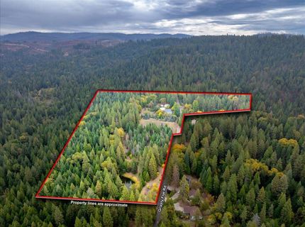 9501 Grizzly Flat Rd, Grizzly Flats, CA 95636 Photo