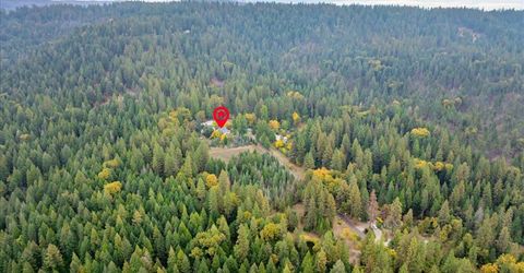 9501 Grizzly Flat Rd, Grizzly Flats, CA 95636 Photo