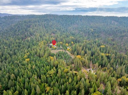 9501 Grizzly Flat Rd, Grizzly Flats, CA 95636 Photo