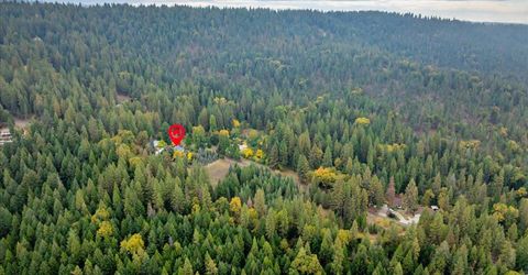 9501 Grizzly Flat Rd, Grizzly Flats, CA 95636 Photo