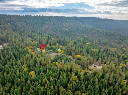 9501 Grizzly Flat Rd, Grizzly Flats, CA 95636 Photo
