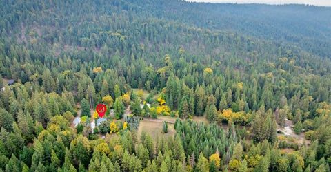 9501 Grizzly Flat Rd, Grizzly Flats, CA 95636 Photo