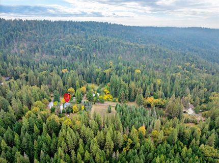 9501 Grizzly Flat Rd, Grizzly Flats, CA 95636 Photo