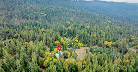 9501 Grizzly Flat Rd, Grizzly Flats, CA 95636 Photo