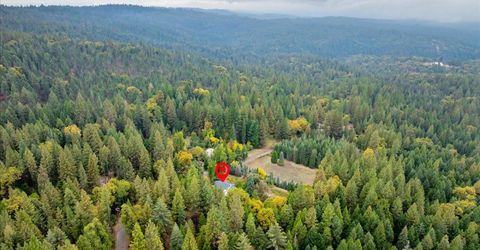 9501 Grizzly Flat Rd, Grizzly Flats, CA 95636 Photo