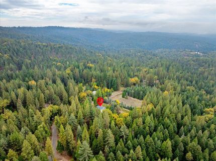 9501 Grizzly Flat Rd, Grizzly Flats, CA 95636 Photo
