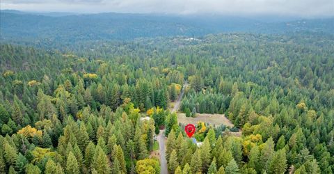 9501 Grizzly Flat Rd, Grizzly Flats, CA 95636 Photo