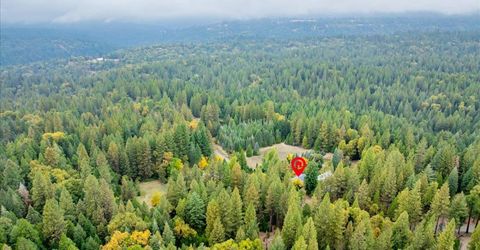 9501 Grizzly Flat Rd, Grizzly Flats, CA 95636 Photo