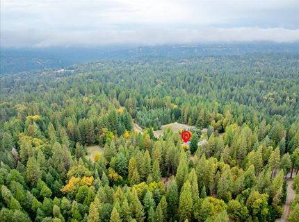 9501 Grizzly Flat Rd, Grizzly Flats, CA 95636 Photo