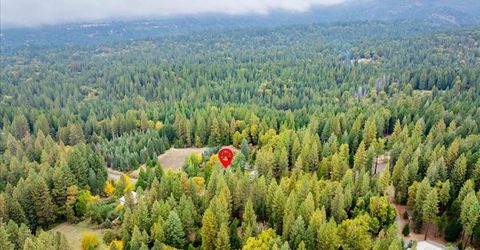 9501 Grizzly Flat Rd, Grizzly Flats, CA 95636 Photo