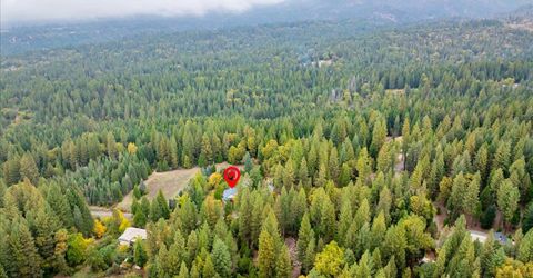 9501 Grizzly Flat Rd, Grizzly Flats, CA 95636 Photo