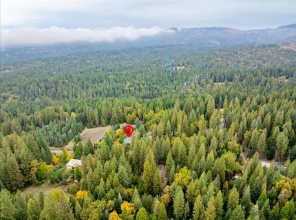 9501 Grizzly Flat Rd, Grizzly Flats, CA 95636 Photo