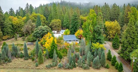 9501 Grizzly Flat Rd, Grizzly Flats, CA 95636 Photo