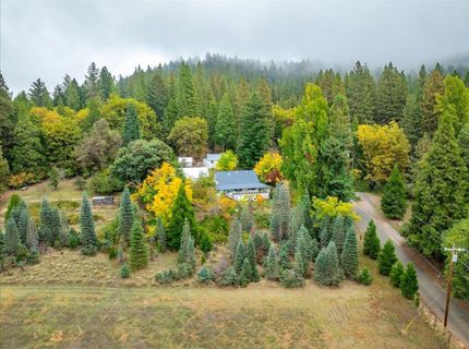 9501 Grizzly Flat Rd, Grizzly Flats, CA 95636 Photo