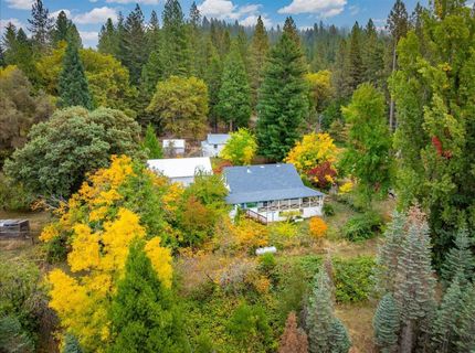 9501 Grizzly Flat Rd, Grizzly Flats, CA 95636 Photo